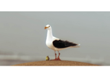 Seagull frame from Plankton Invasion - the web series by Joeri Christiaen
