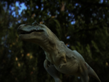 Dino by Caroline Phasey, Vegard Myklebust