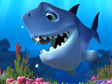 Shark frame by Triggerfish.co.za