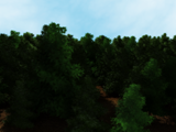 Tree 100 instances test by Ray Cross